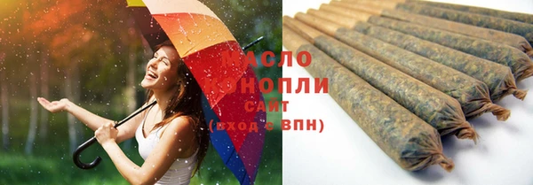 индика Верхнеуральск