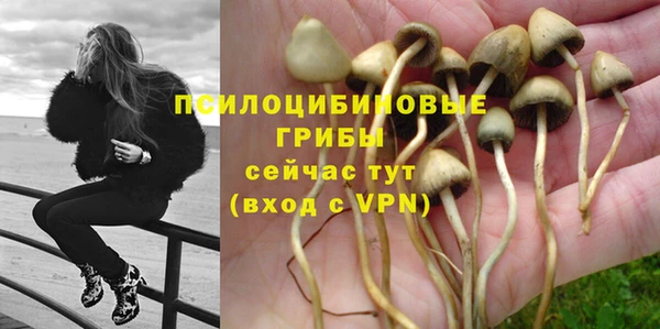 молекула духа Верея