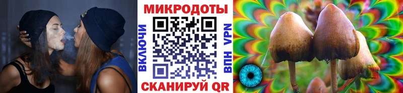 Купить закладки  Мглин  Галлюциногенные грибы Cubensis 
